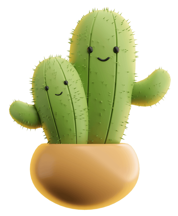 contact cactus
